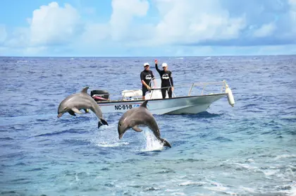 Curacao-Nights-8-scaled